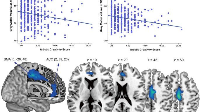 Como a felicidade e a criatividade são medidas no cérebro - IBNeuro