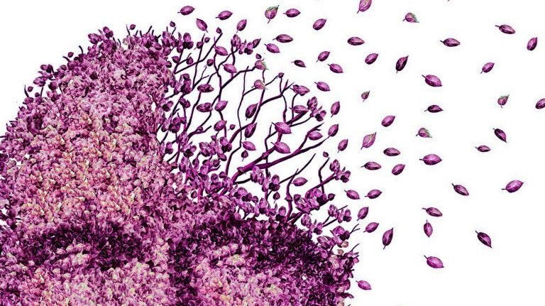 Quase metade dos casos de demência podem ser evitados ou adiados - IBNeuro