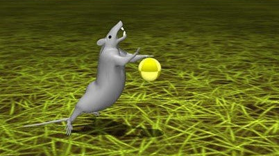 Rato com Inteligência Artificial pode ser uma nova ferramenta valiosa para a neurociência - IBNeuro