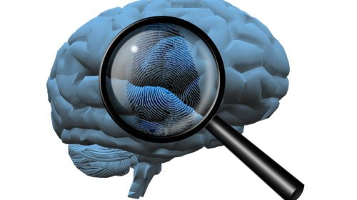 Você sabe o que é a Neuropsicologia Forense? - IBNeuro