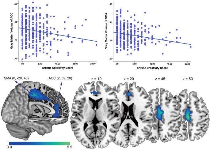 Como a felicidade e a criatividade são medidas no cérebro - IBNeuro